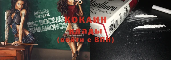 спиды Гусев