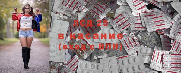 спиды Гусев