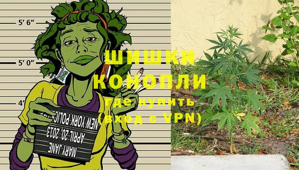 спиды Гусев