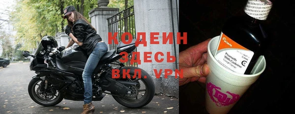 спиды Гусев