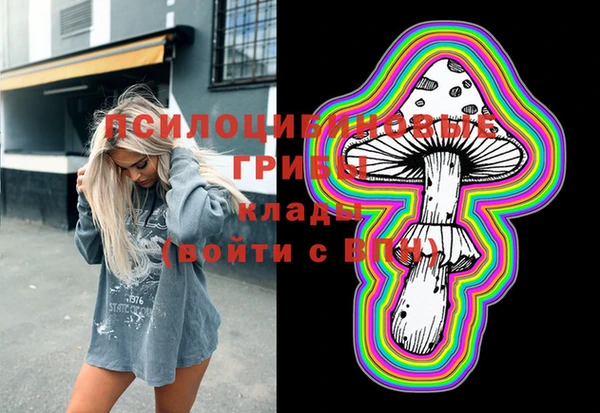 спиды Гусев