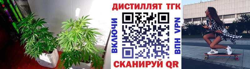 ТГК Wax  Купить где  Нарьян-Мар 