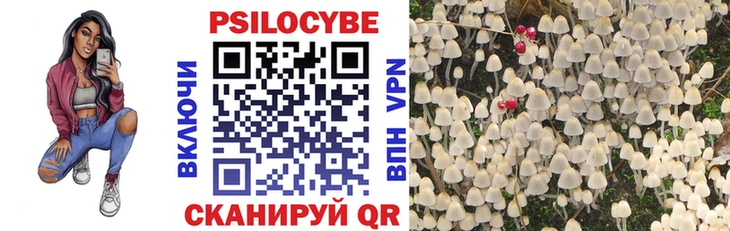 Псилоцибиновые грибы Magic Shrooms  Купить закладки  Нарьян-Мар 
