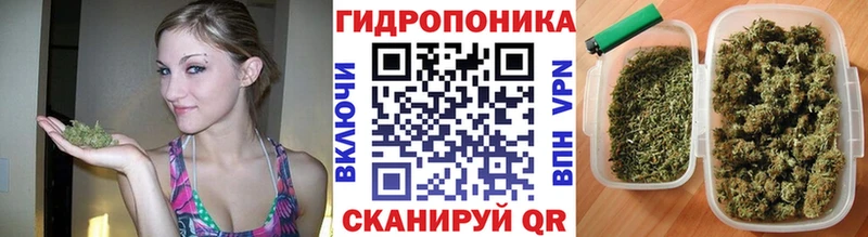 Купить где  Нарьян-Мар  Шишки марихуана Ganja 